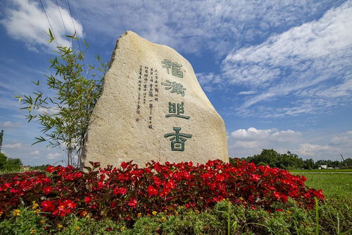 雙節(jié) 樂享郫都文旅盛宴 游玩中閱讀鄉(xiāng)村振興新篇章