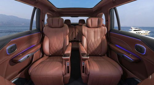 燃擎看車展 要給問(wèn)界m9和理想l9上強(qiáng)度,昊鉑hl實(shí)力夠不夠