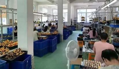 上海查獲小黃人等百余款侵權玩具產品，涉案金額逾2億元